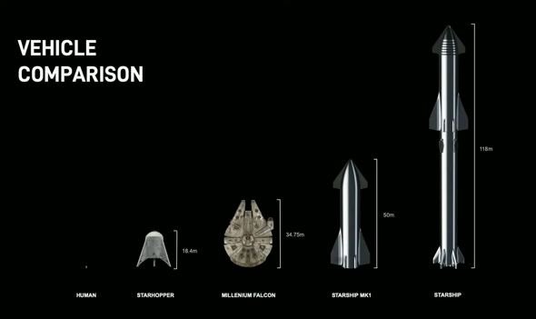  elon 3