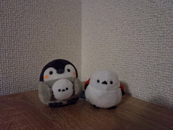 photo