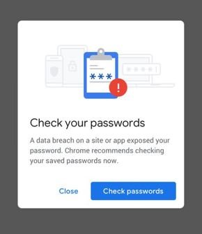  passwords