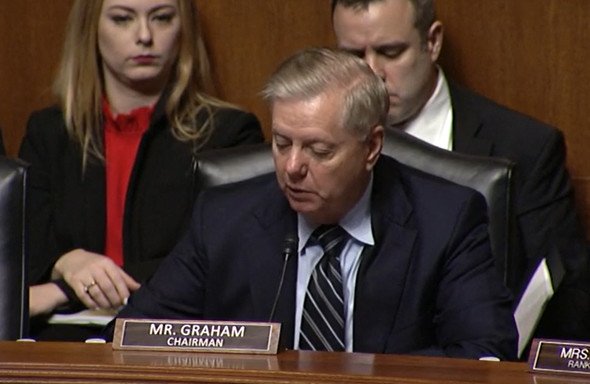  graham