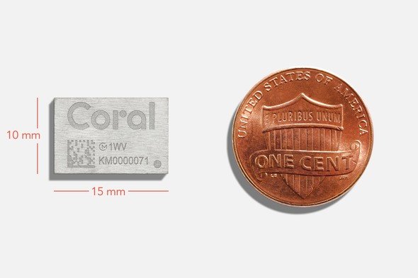  coral 1