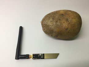 NEURASPUD
