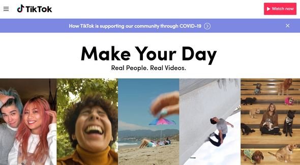 tiktok