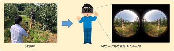 3Dカメラを使った実証実験も同時に行う