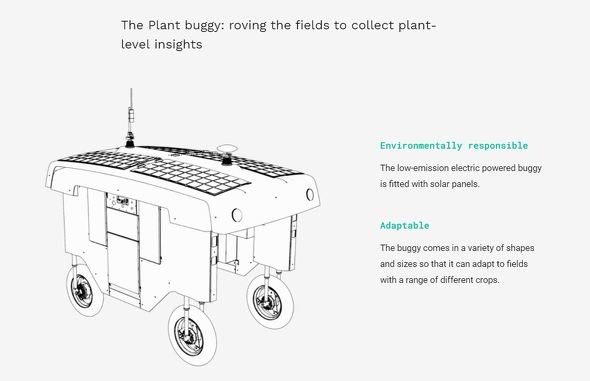  buggy 2