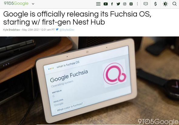  fuchsia