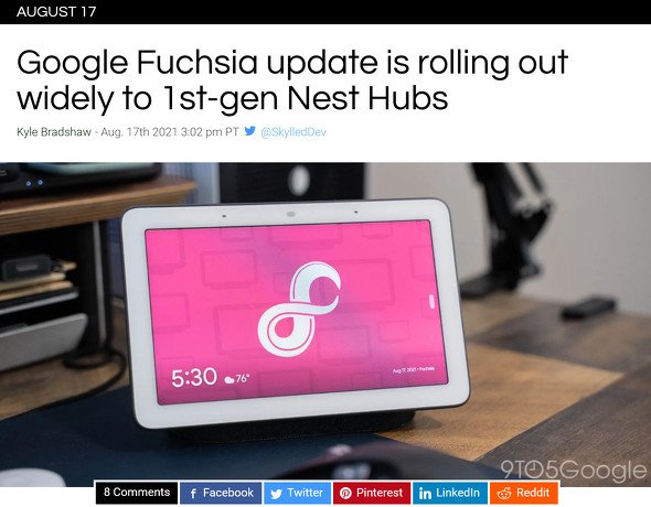  fuchsia 1