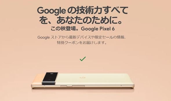  pixel 6