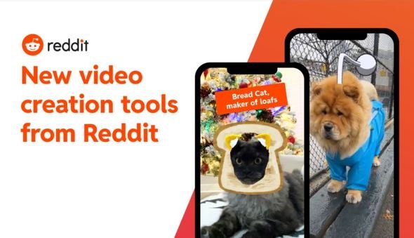  reddit 1