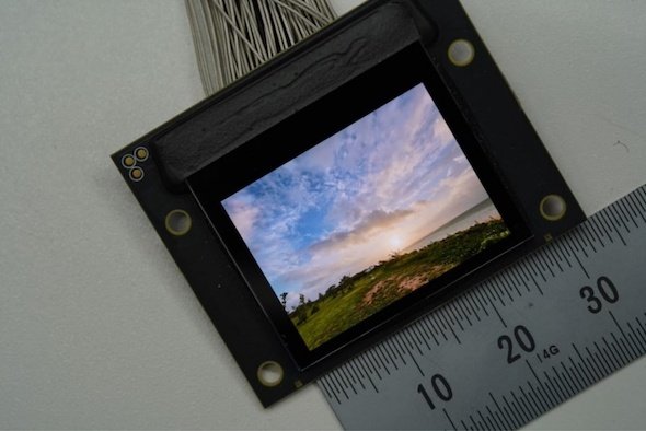 photo