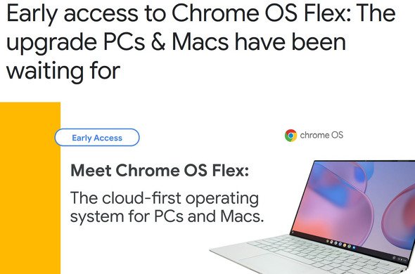  flex