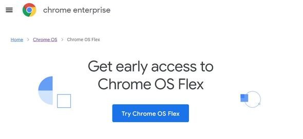  flex 0