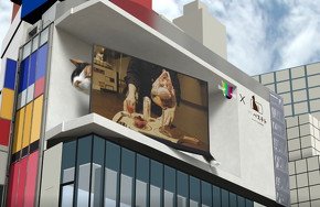 巨大猫がディスプレイにすり寄っていく