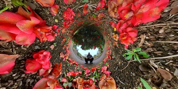 photo