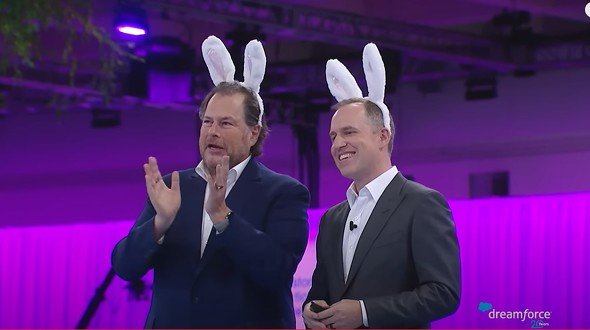  rabits