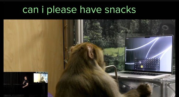  snack