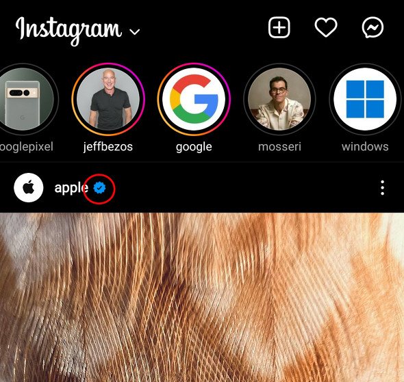  instagram 3