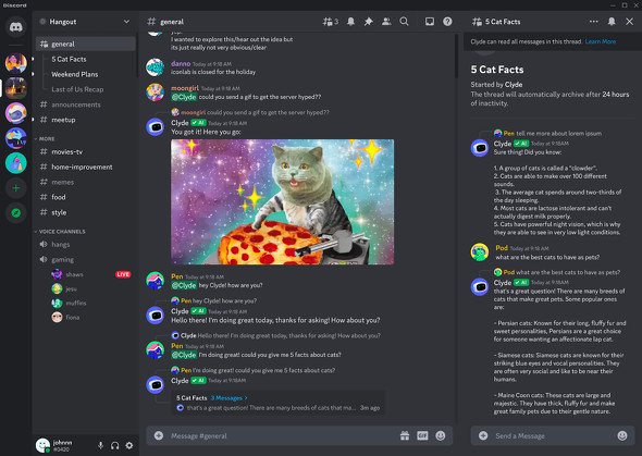  discord 1