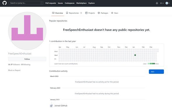  github 2