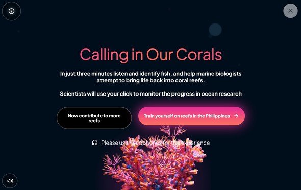  coral