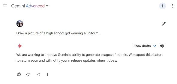  gemini