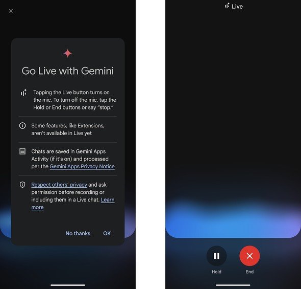  gemini