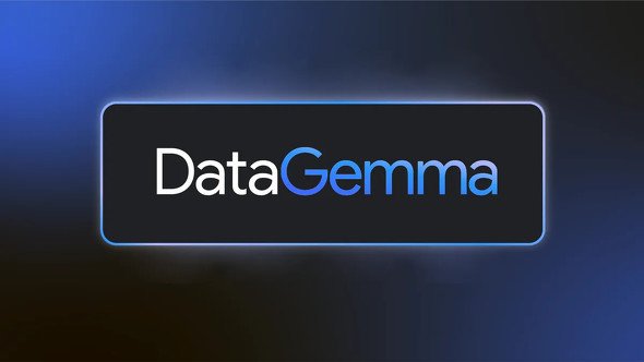  datagemma 1