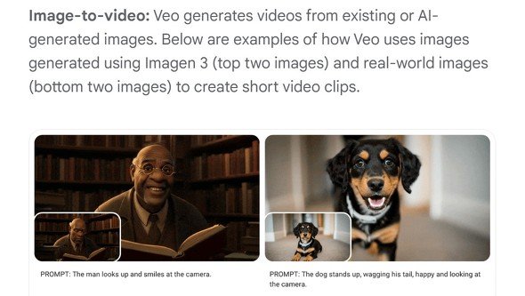  veo