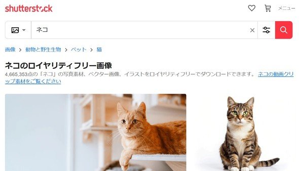  shutter