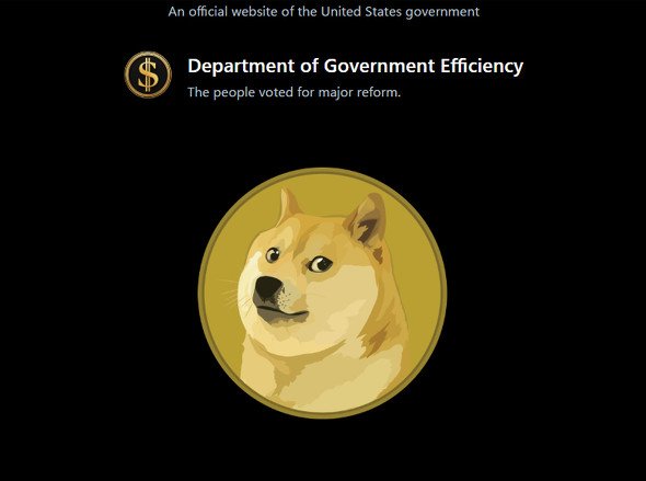  old doge