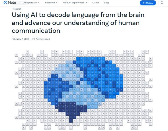  brain