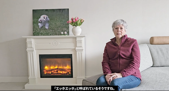 画像