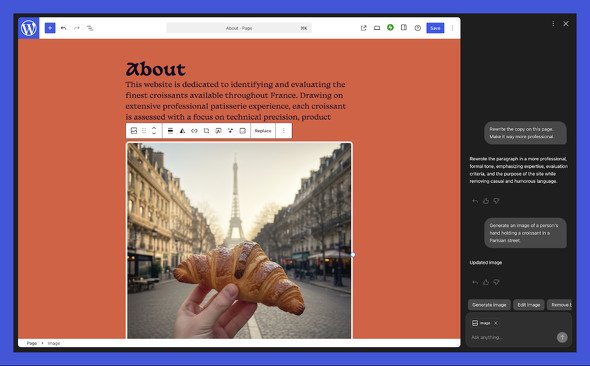  wordpress