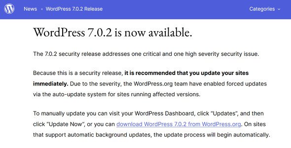 wordpress