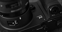 他のカメラでは撮れない世界 「SIGMA sd Quattro」レンズ選びの