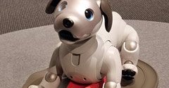 aiboはオーナーと物語を紡げる」──平井社長、復活した“犬型ロボット