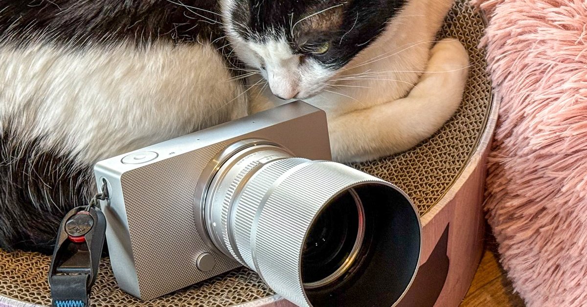 性能爆上げスタンダード機に個性派高級コンパクトも続々──値上げも気