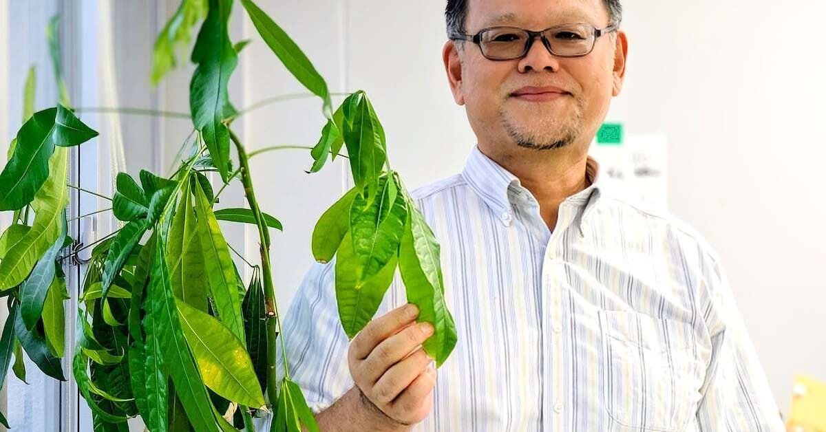 巨大化を指南！？ AI活用で身近になる植物栽培 健康や仕事に「緑の効用」の識者に聞く