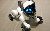 子犬のようにちょこまか動くロボット犬「Meet CHiP」の秘密 - ITmedia NEWS